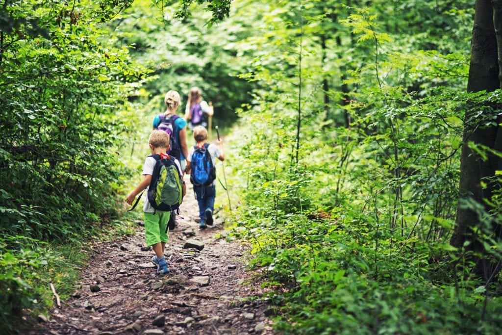 Explore Local Parks and Nature Trails