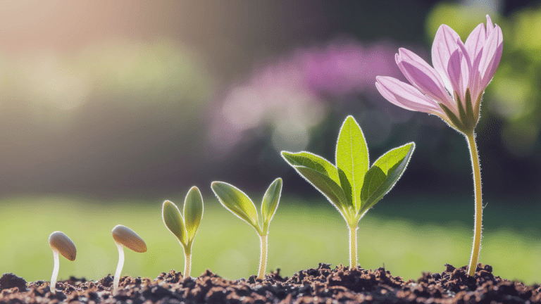 Stages of the Plant Life Cycle Explained for Kids