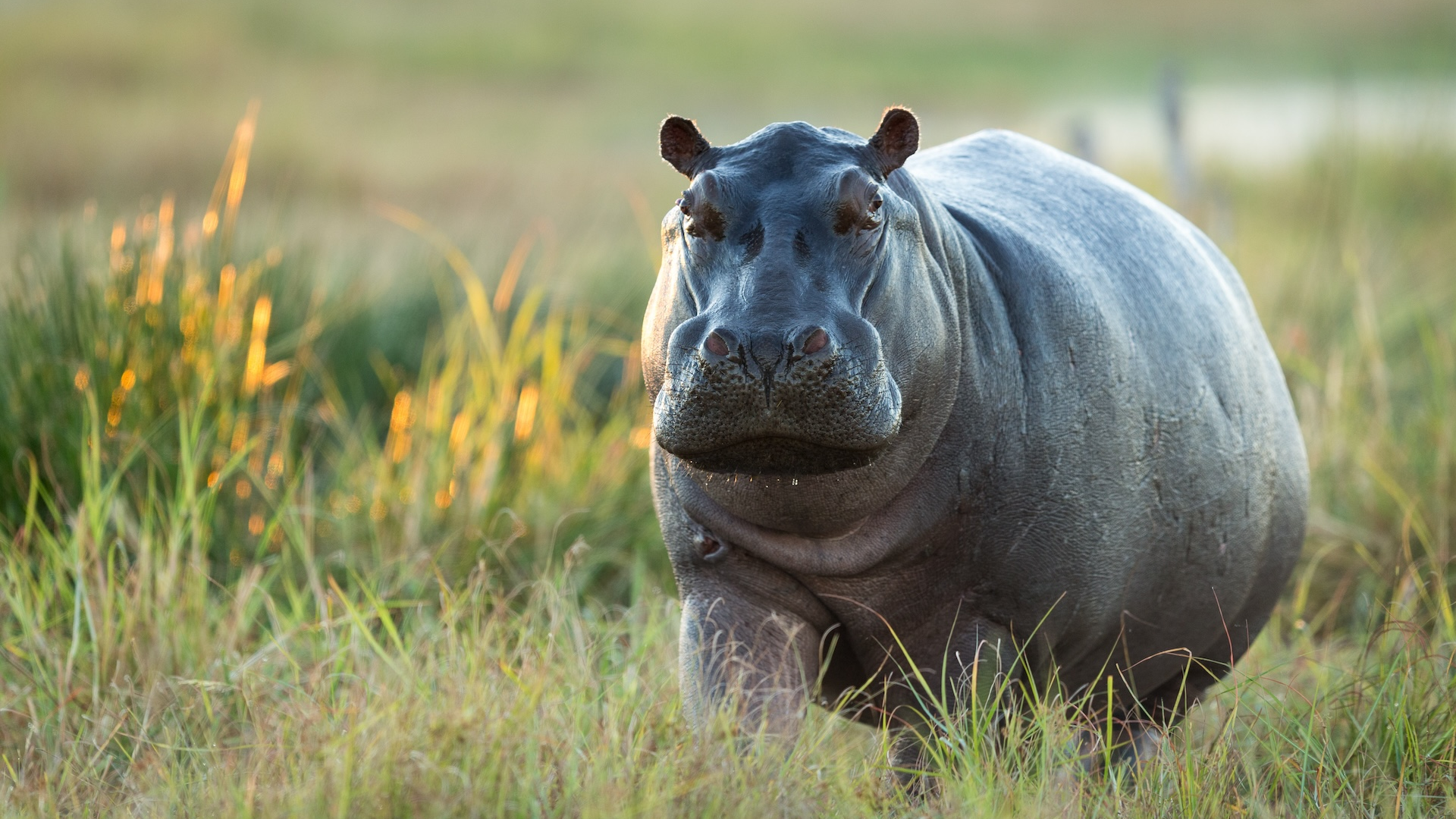 Unique African-Inspired Names
