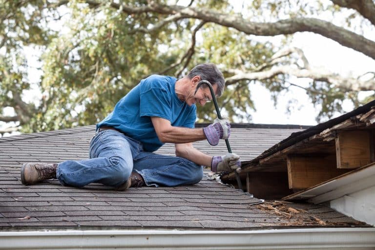 Spotting Roof Damage Early: Essential Signs to Watch For