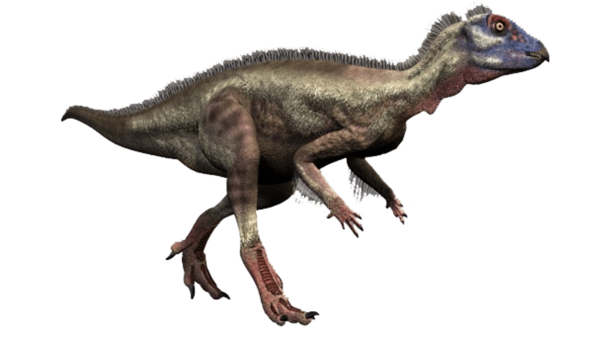 Hypsilophodon