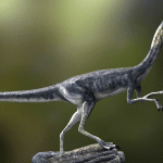 top 10 smallest dinosaurs