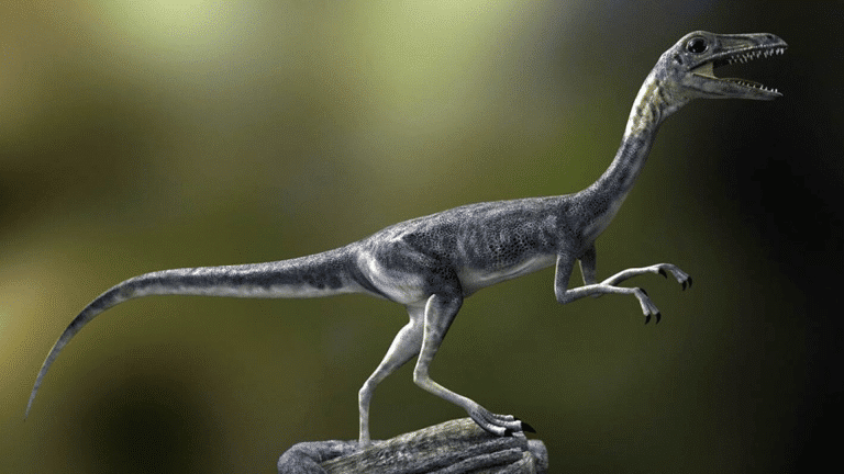 top 10 smallest dinosaurs
