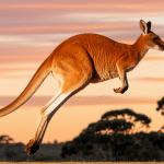 kangaroo names