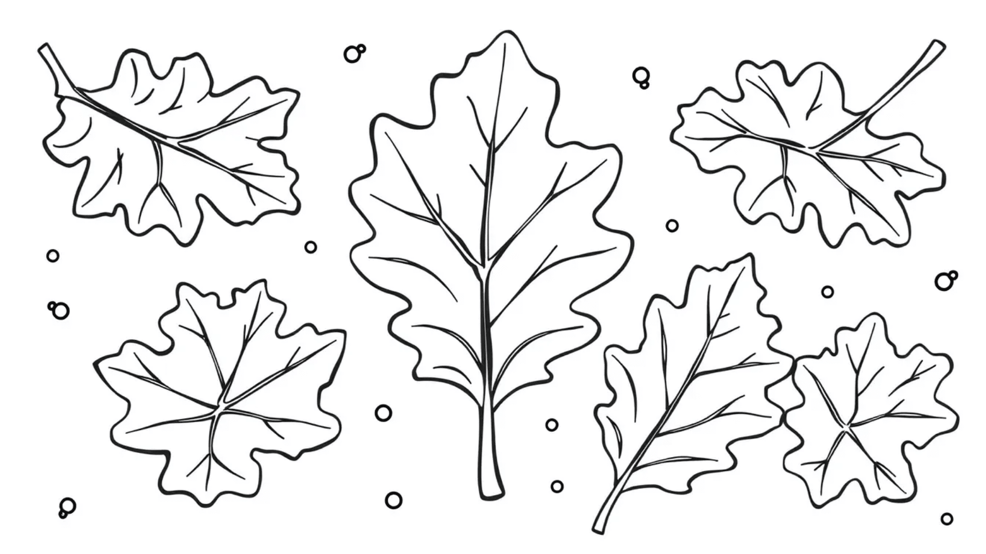 Falling oak leaves in the wind