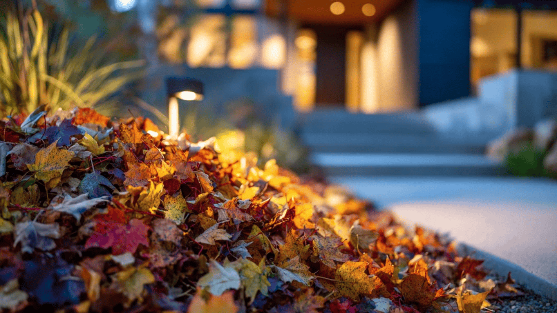 Jump Into a Pile of Leaves