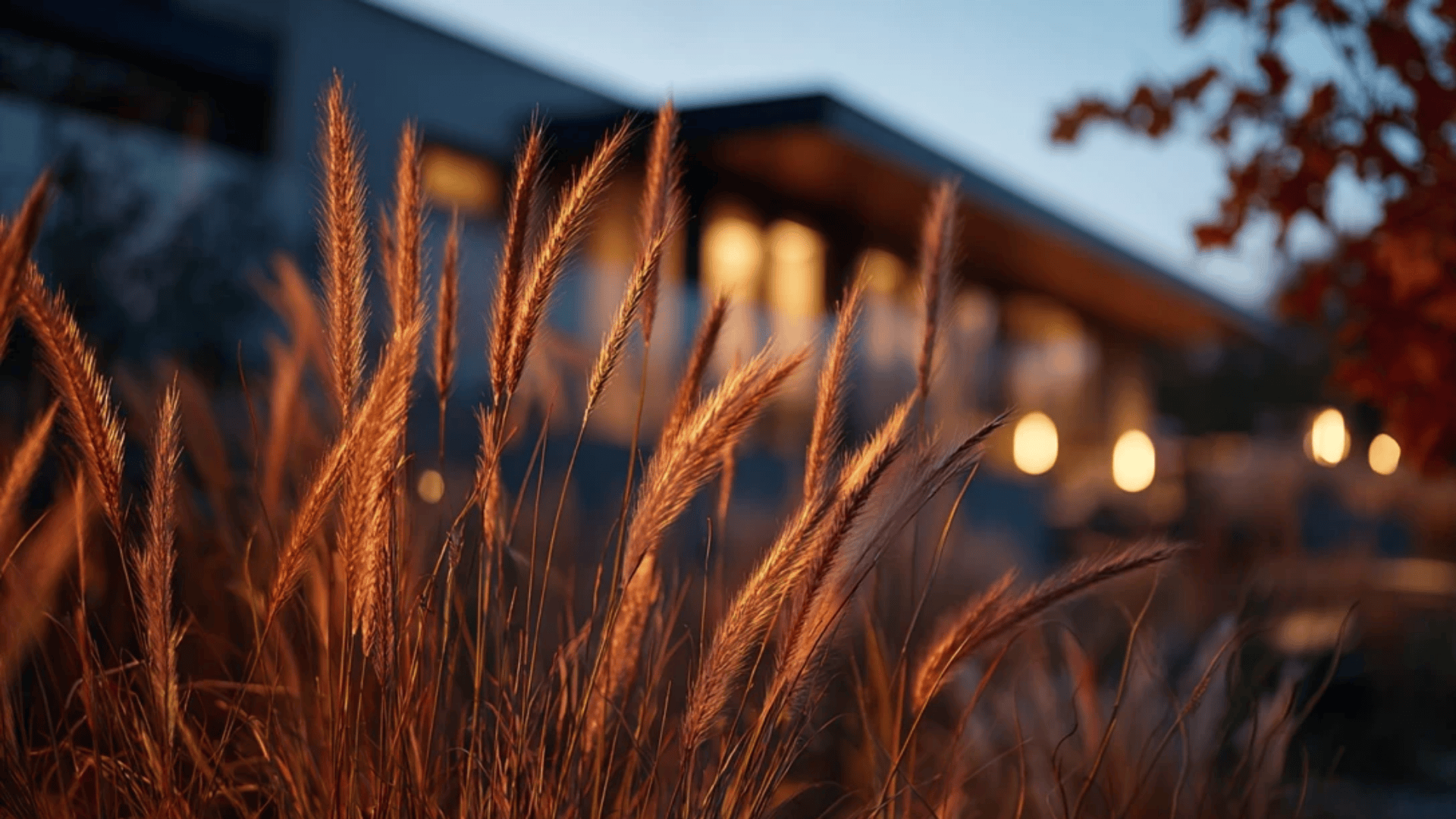 Outdoor Autumn Moments