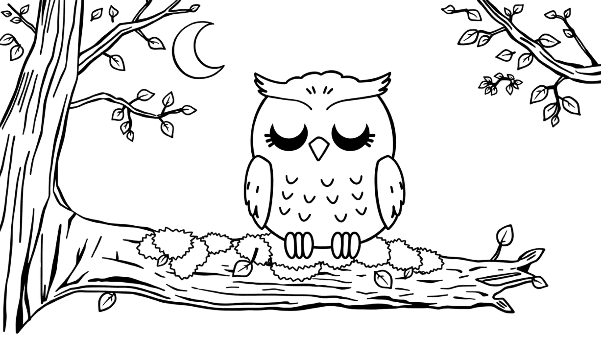 Owl perched on a fallen branch