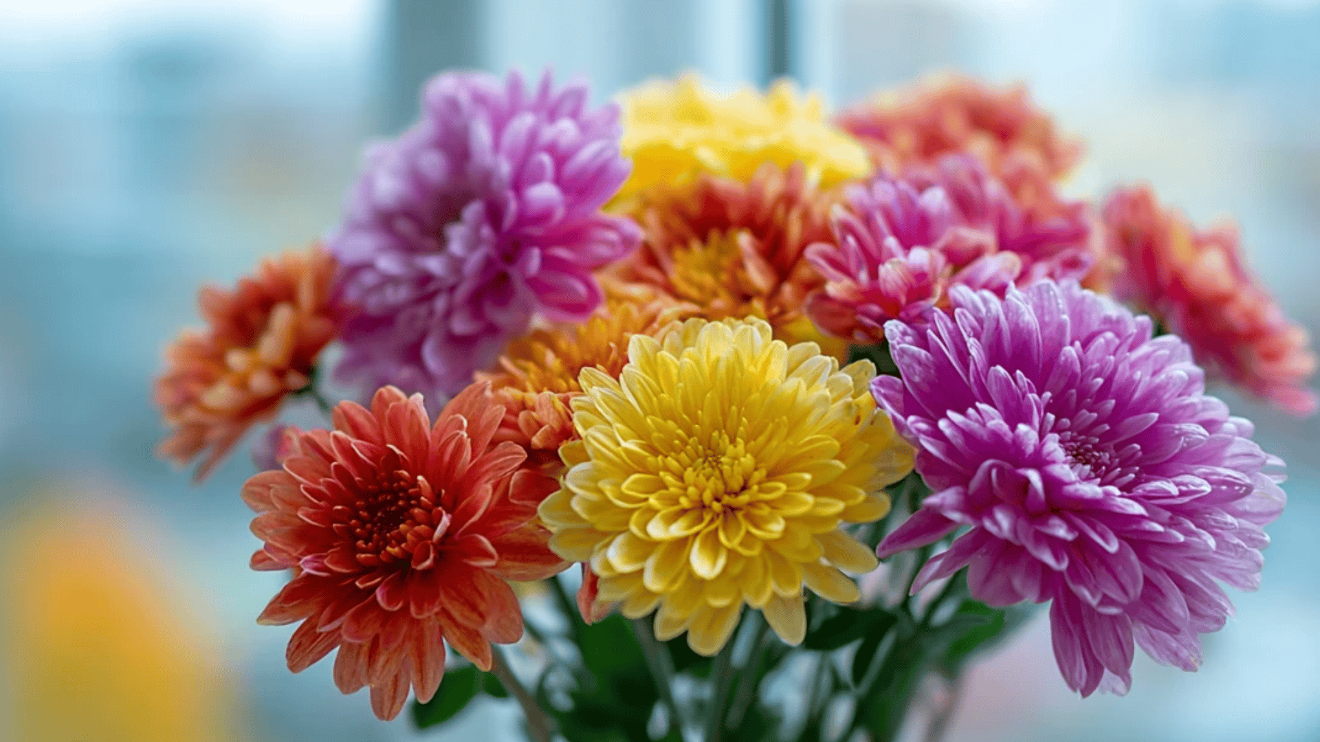 Pick Seasonal Flowers