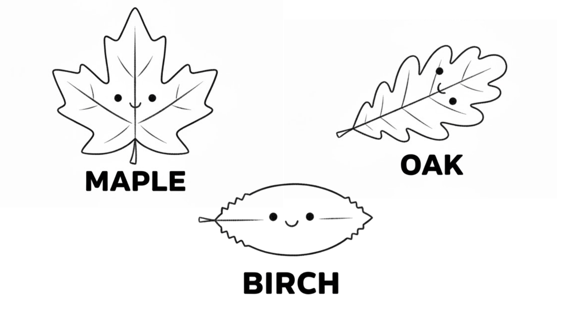 Realistic leaf identification chart (maple, oak, birch)