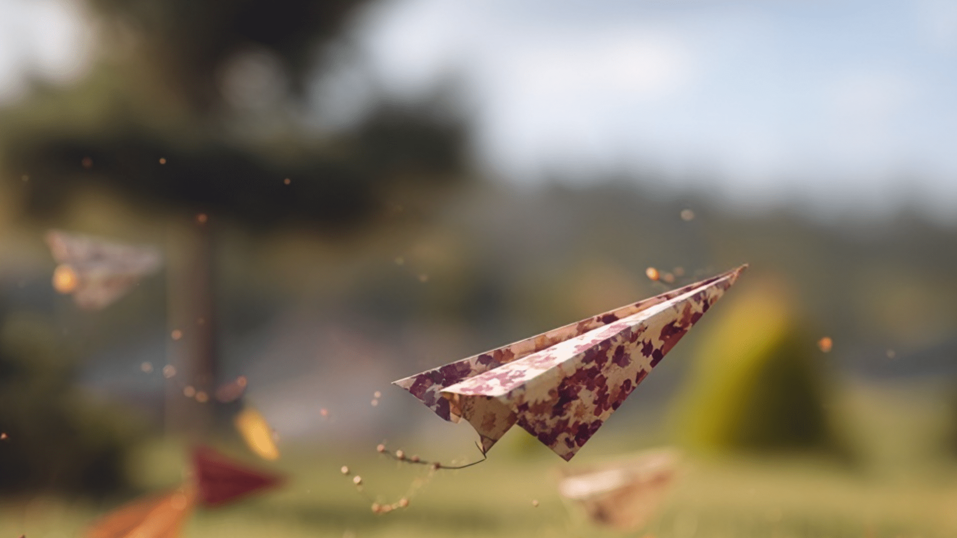 STEM & Investigation