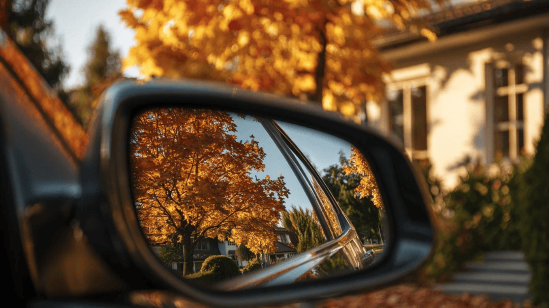 Take a Scenic Fall Drive