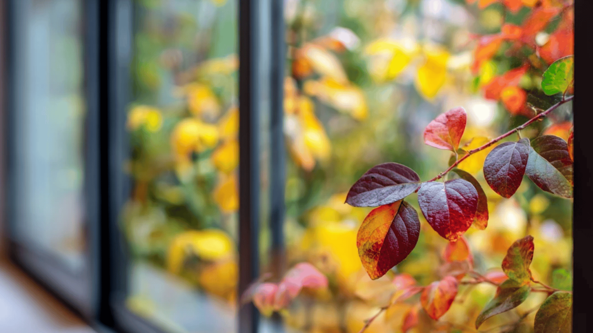 Travel and Seasonal Experiences