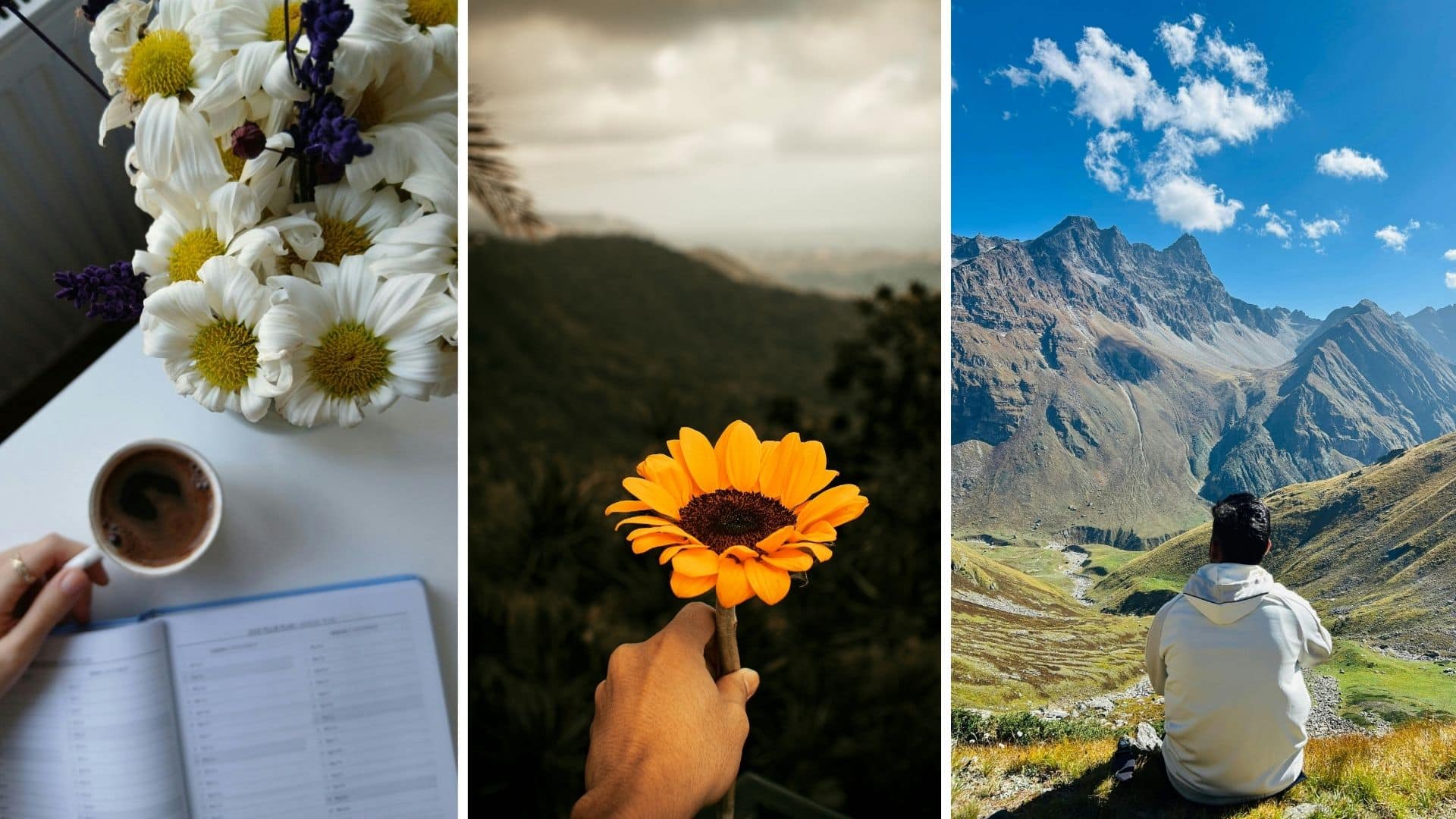 Personal Growth Transformation